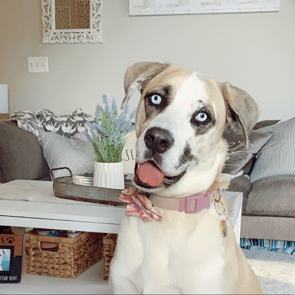 Meet your Posher, Mariah